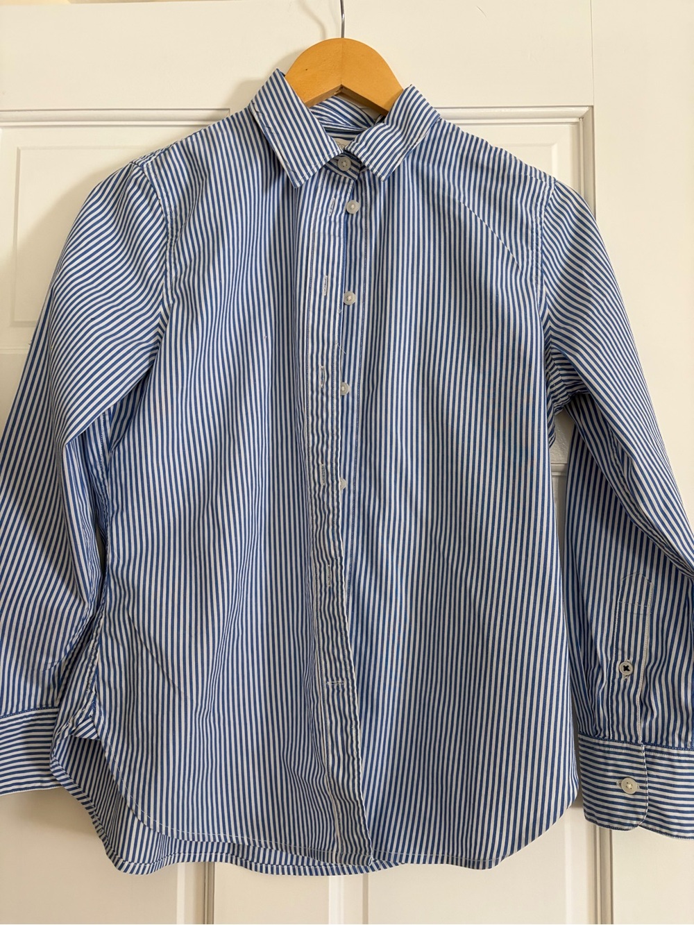 J. Crew Blue and White Vertical Stripe Dress Shirt